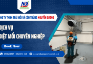Chấm dứt nỗi lo với dịch vụ diệt mối chuyên nghiệp