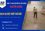 Kiểm soát mối mọt hiệu quả với dịch vụ diệt mối Thủ Đức