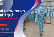 Làm thế nào để diệt côn trùng hiệu quả tại các khu công nghiệp?