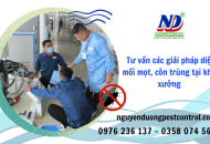 Nguyễn Dương chuyên tư vấn các giải pháp diệt mối mọt, côn trùng tại kho xưởng