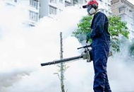 HƯỚNG DẪN CÁCH DIỆT CÔN TRÙNG HIỆU QUẢ, AN TOÀN SỨC KHỎE