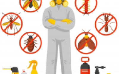 ĐÀO TẠO KIẾN THỨC CÔN TRÙNG DỊCH HẠI