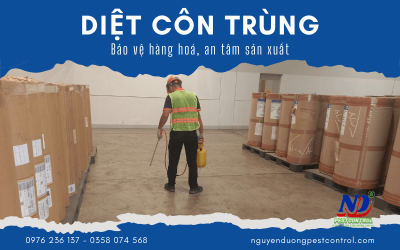 Bảo vệ hàng hoá, an tâm sản xuất với diệt côn trùng Nguyễn Dương