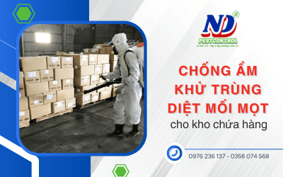 Chống ẩm, khử trùng diệt mối mọt kho chứa hàng hiệu quả