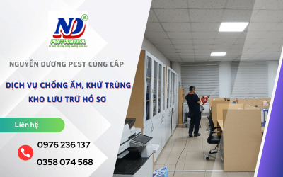 Dịch vụ chống ẩm, khử trùng kho lưu trữ hồ sơ uy tín và nhanh chóng