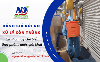 Đánh giá rủi ro xử lý côn trùng trong các nhà máy chế biến thực phẩm, nước giải khát