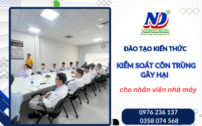 Đào tạo kiến thức kiểm soát côn trùng gây hại cho nhân viên nhà máy