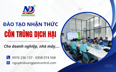 Đào tạo nhận thức về côn trùng dịch hại cho doanh nghiệp, nhà hàng - Nguyễn Dương Pestcontrol