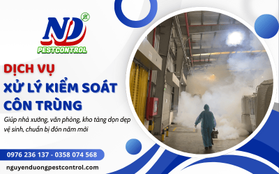 Dọn dẹp nhà xưởng cuối năm với dịch vụ kiểm soát côn trùng tổng hợp