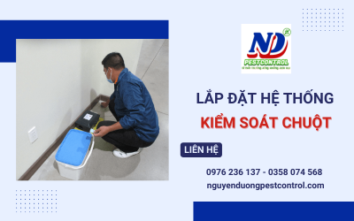 Dịch vụ lắp đặt hệ thống kiểm soát chuột tại Bình Dương