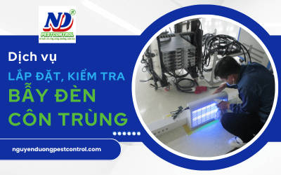 Dịch vụ lắp đặt kiểm tra bẫy đèn côn trùng cho kho, xưởng tại Bình Dương