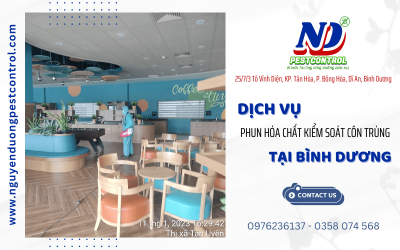Dịch vụ phun hóa chất kiểm soát côn trùng tại Bình Dương