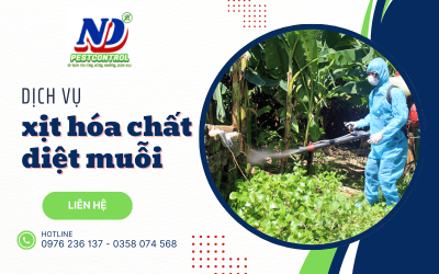 Dịch vụ xịt hóa chất diệt muỗi gây bệnh sốt xuất huyết