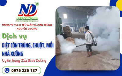Dịch vụ xử lý côn trùng, diệt chuột, diệt mối vệ sinh kho xưởng đón tết tại Bình Dương