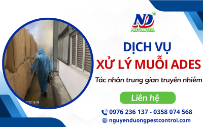Dịch vụ xử lý muỗi Ades – Tác nhân trung gian truyền nhiễm