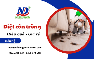 Diệt côn trùng an toàn, hiệu quả, chi phí phải chăng tại Nguyễn Dương