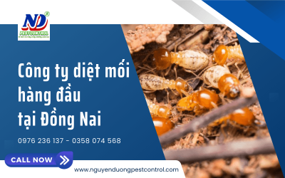 Giới thiệu công ty diệt mối uy tín hàng đầu Đồng Nai