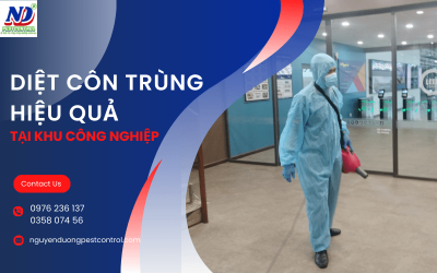 Làm thế nào để diệt côn trùng hiệu quả tại các khu công nghiệp?