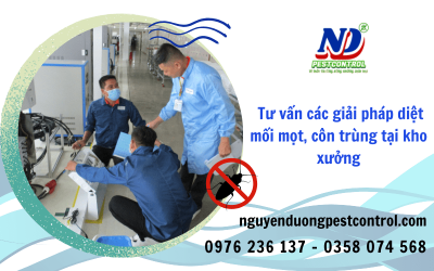 Nguyễn Dương chuyên tư vấn các giải pháp diệt mối mọt, côn trùng tại kho xưởng