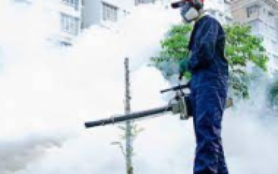 HƯỚNG DẪN CÁCH DIỆT CÔN TRÙNG HIỆU QUẢ, AN TOÀN SỨC KHỎE