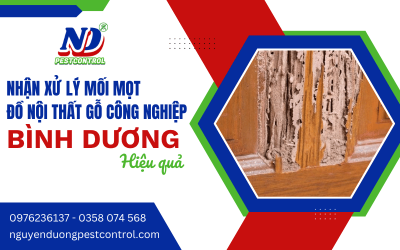 Nhận xử lý mối mọt đồ nội thất gỗ công nghiệp tại Bình Dương hiệu quả