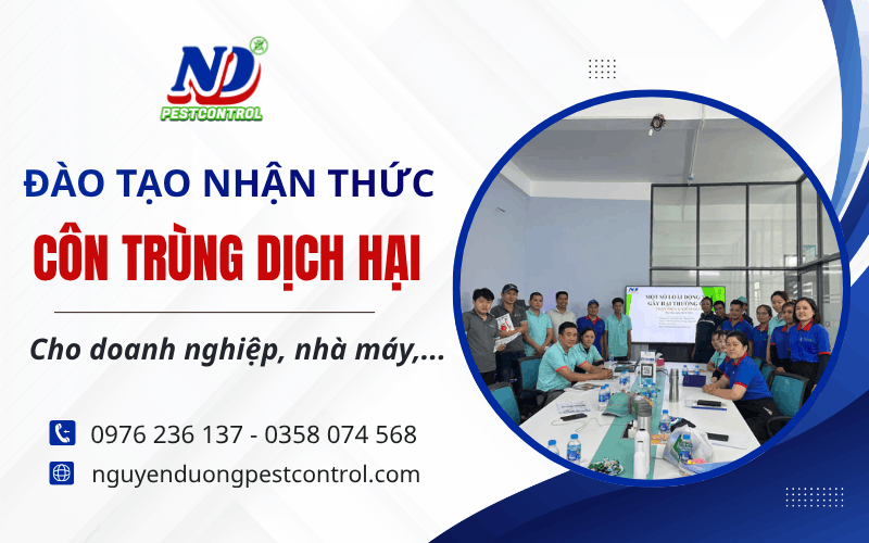 tạo nhận thức côn trùng dịch hại