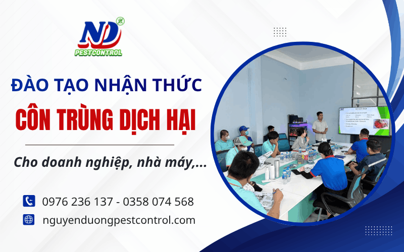 tạo nhận thức côn trùng dịch hại