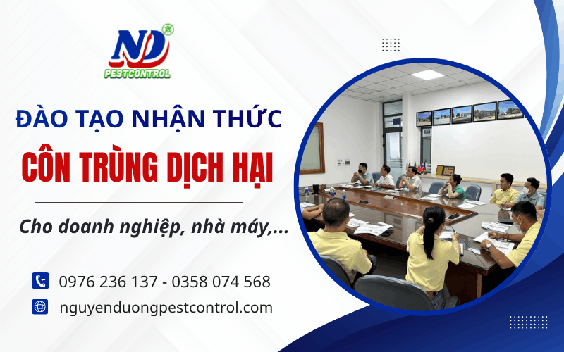 tạo nhận thức côn trùng dịch hại