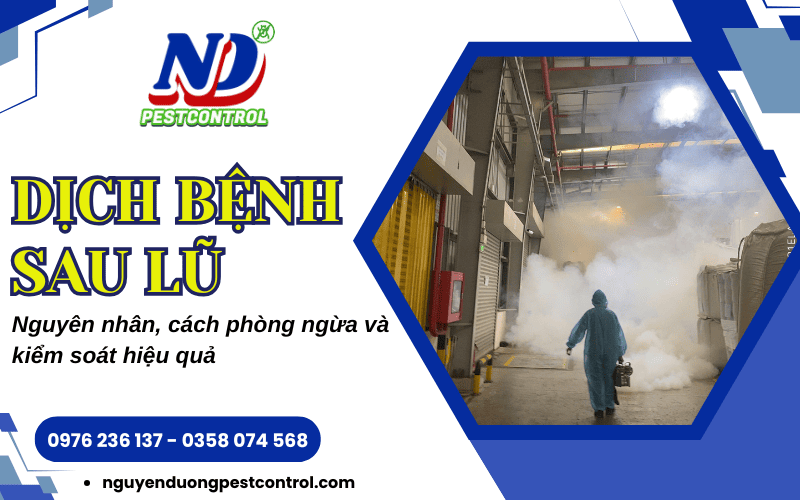 Dịch bệnh sau lũ lụt