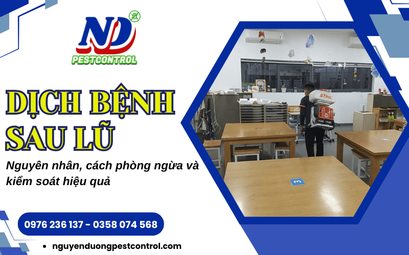 Dịch bệnh sau lũ lụt