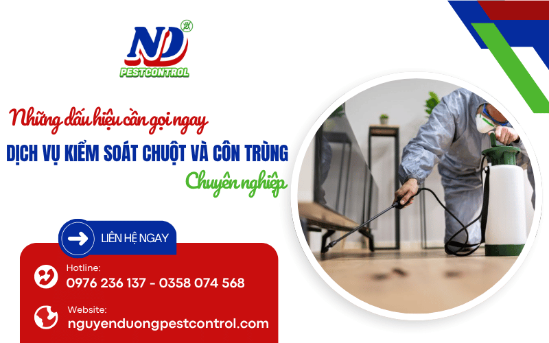 dịch vụ kiểm soát chuột và côn trùng