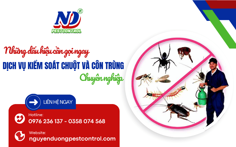 dịch vụ kiểm soát chuột và côn trùng