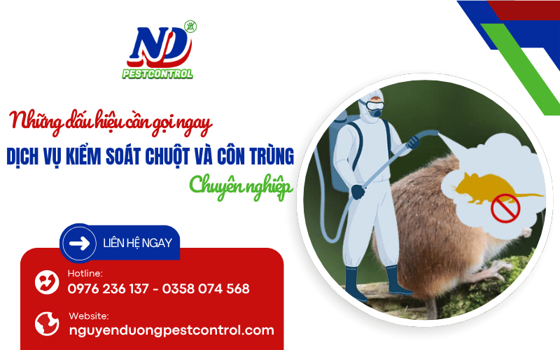 dịch vụ kiểm soát chuột và côn trùng