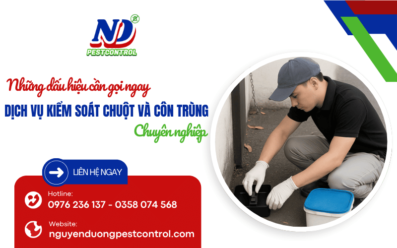 dịch vụ kiểm soát chuột và côn trùng