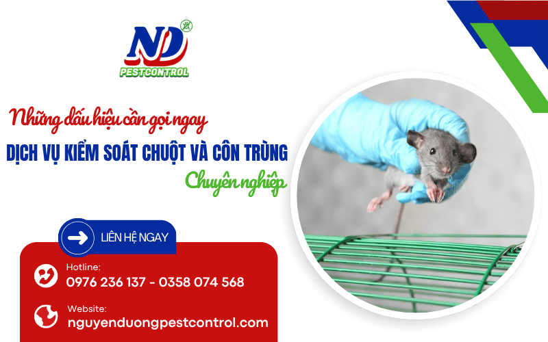 dịch vụ kiểm soát chuột và côn trùng