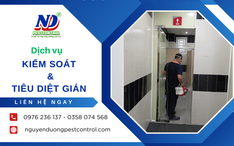 Dịch vụ kiểm soát và tiêu diệt gián