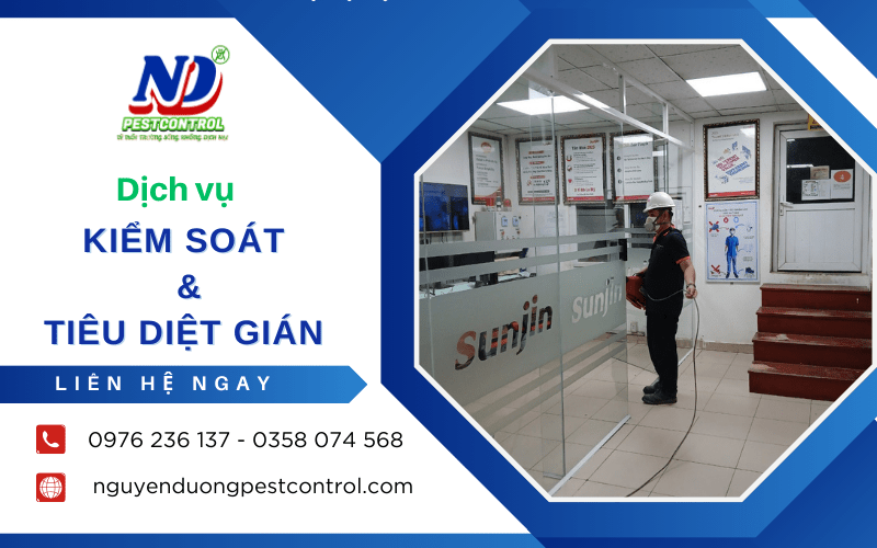 Dịch vụ kiểm soát và tiêu diệt gián