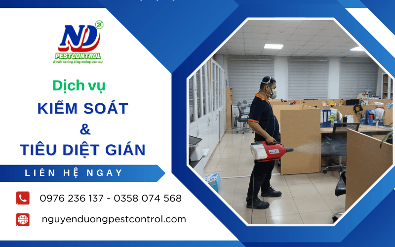 Dịch vụ kiểm soát và tiêu diệt gián