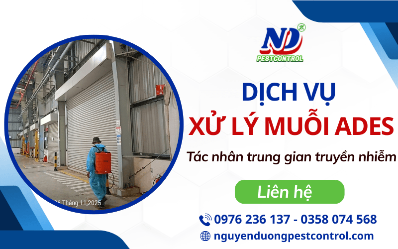 Dịch vụ xử lý muỗi Ades