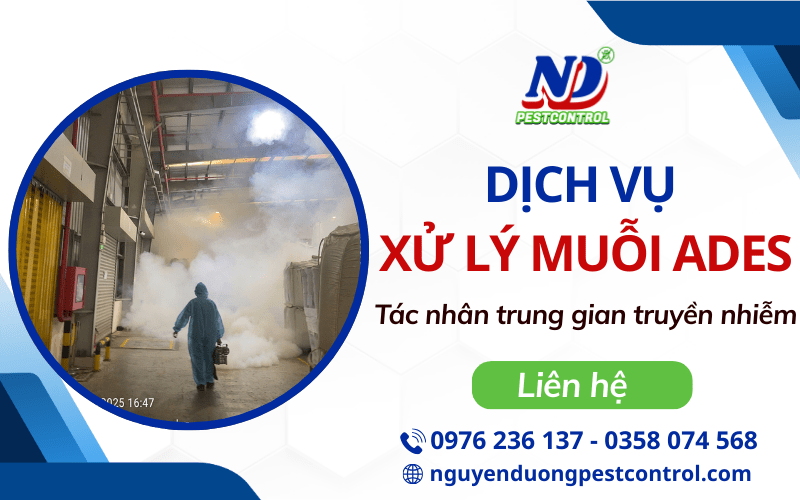 Dịch vụ xử lý muỗi Ades