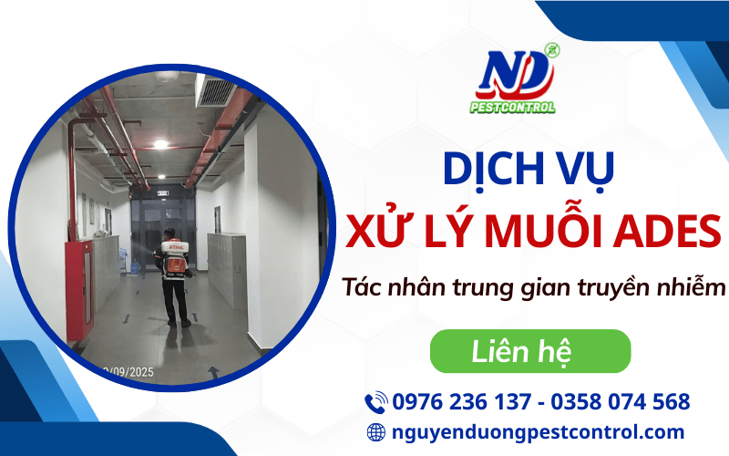 Dịch vụ xử lý muỗi Ades