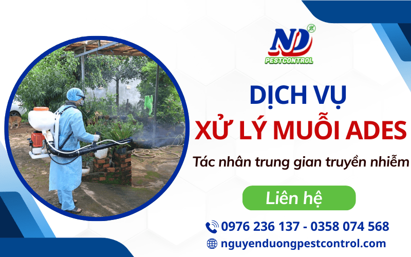 Dịch vụ xử lý muỗi Ades