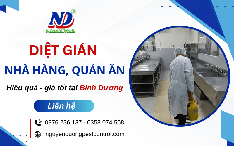 diệt gián nhà hàng