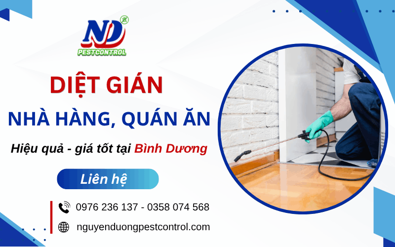 diệt gián nhà hàng