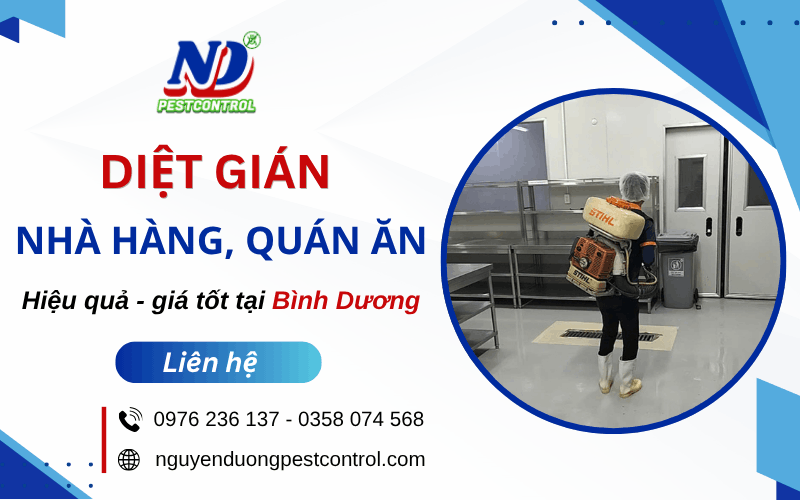diệt gián nhà hàng