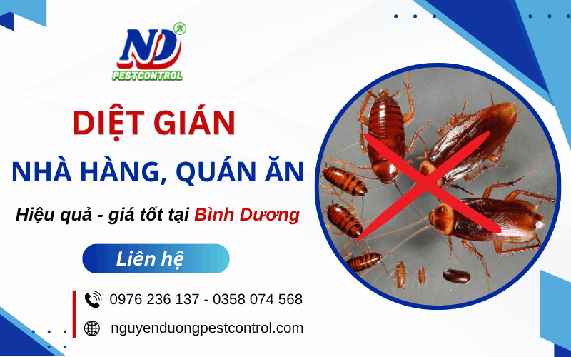 diệt gián nhà hàng