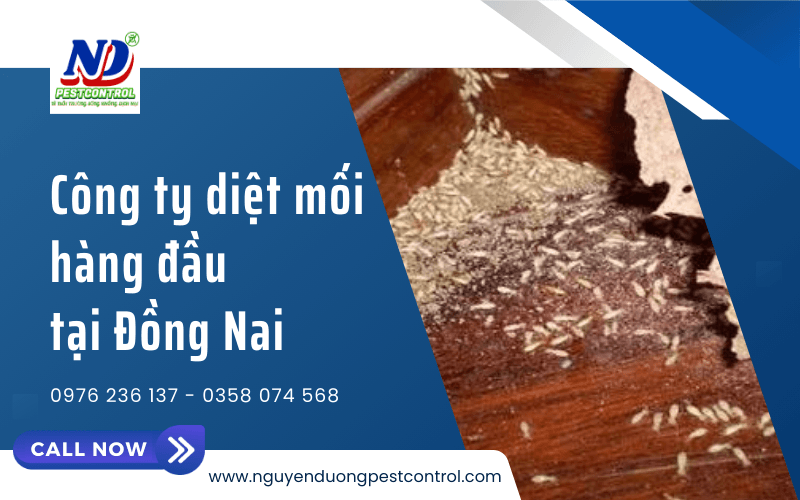 diệt mối uy tín