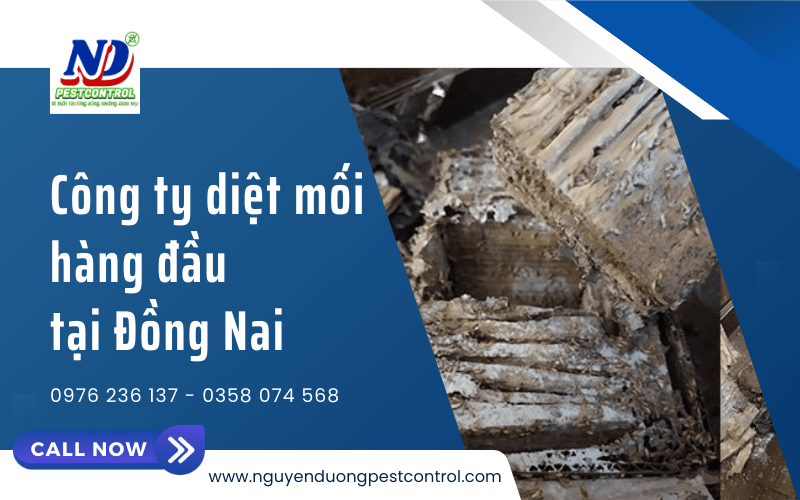 diệt mối uy tín