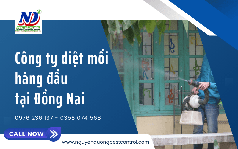 diệt mối uy tín