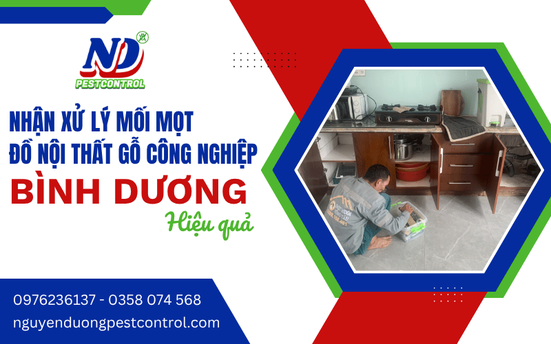 xử lý mối nội thất gỗ công nghiệp Bình Dương